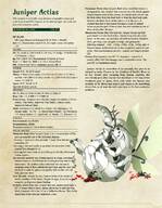 artist:juniper character:juniper_(creature) character_sheet series:pathfinder tabletop_rpg text third-party_edit // 1135x1465 // 1.5MB